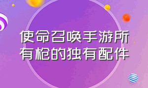 使命召唤手游所有枪的独有配件