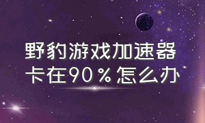 野豹游戏加速器卡在90%怎么办