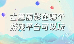 古墓丽影在哪个游戏平台可以玩