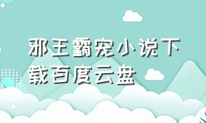 邪王霸宠小说下载百度云盘