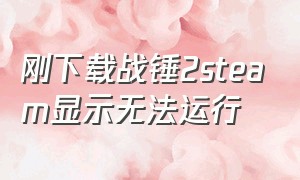 刚下载战锤2steam显示无法运行