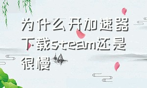 为什么开加速器下载steam还是很慢