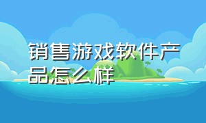 销售游戏软件产品怎么样