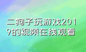 二狗子玩游戏2019的视频在线观看