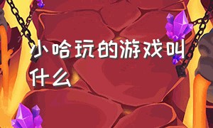 小哈玩的游戏叫什么