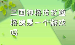 三国神将传武道将魂是一个游戏吗