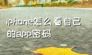 iphone怎么看自己的app密码