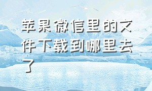 苹果微信里的文件下载到哪里去了