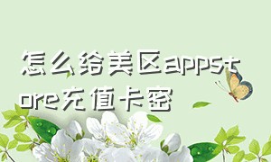 怎么给美区appstore充值卡密