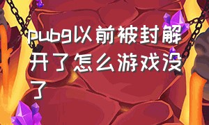 pubg以前被封解开了怎么游戏没了