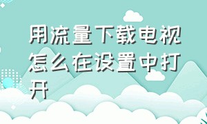 用流量下载电视怎么在设置中打开