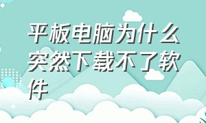 平板电脑为什么突然下载不了软件