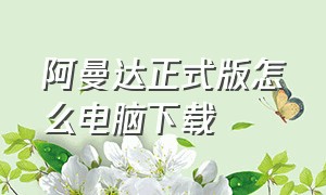 阿曼达正式版怎么电脑下载