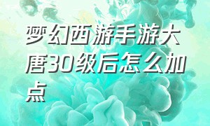 梦幻西游手游大唐30级后怎么加点