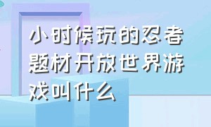 小时候玩的忍者题材开放世界游戏叫什么