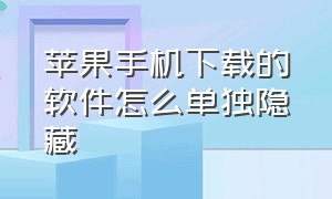 苹果手机下载的软件怎么单独隐藏