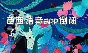 西西语音app倒闭了