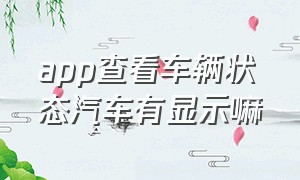 app查看车辆状态汽车有显示嘛