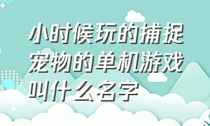 小时候玩的捕捉宠物的单机游戏叫什么名字