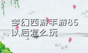 梦幻西游手游85以后怎么玩