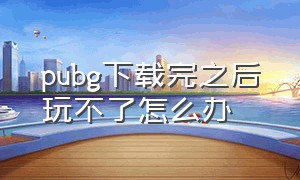 pubg下载完之后玩不了怎么办