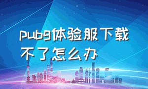 pubg体验服下载不了怎么办