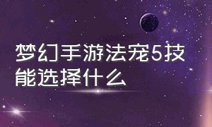 梦幻手游法宠5技能选择什么