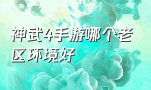 神武4手游哪个老区环境好