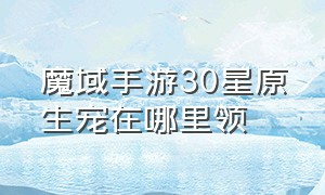 魔域手游30星原生宠在哪里领