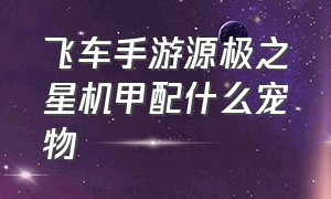 飞车手游源极之星机甲配什么宠物