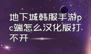 地下城韩服手游pc端怎么汉化版打不开