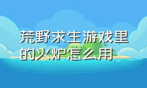 荒野求生游戏里的火炉怎么用