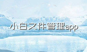 小白文件管理app