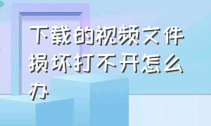 下载的视频文件损坏打不开怎么办