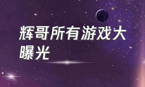 辉哥所有游戏大曝光