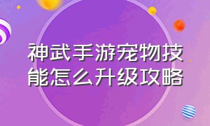 神武手游宠物技能怎么升级攻略