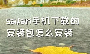 safari手机下载的安装包怎么安装