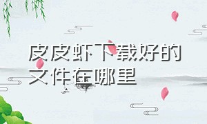 皮皮虾下载好的文件在哪里