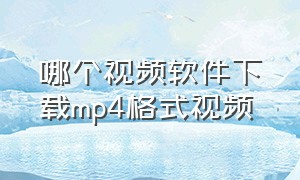 哪个视频软件下载mp4格式视频