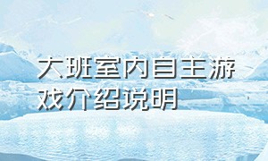 大班室内自主游戏介绍说明