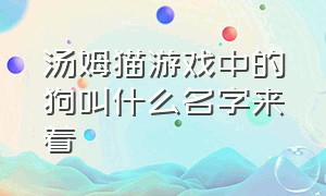 汤姆猫游戏中的狗叫什么名字来着