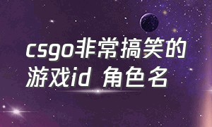 csgo非常搞笑的游戏id 角色名