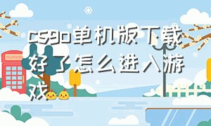 csgo单机版下载好了怎么进入游戏