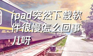 ipad突然下载软件很慢怎么回事儿呀