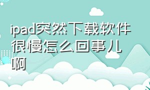 ipad突然下载软件很慢怎么回事儿啊