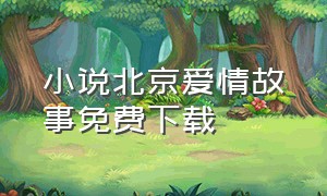 小说北京爱情故事免费下载