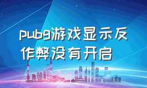 pubg游戏显示反作弊没有开启