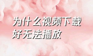 为什么视频下载好无法播放