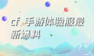 cf 手游体验服最新爆料