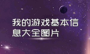 我的游戏基本信息大全图片